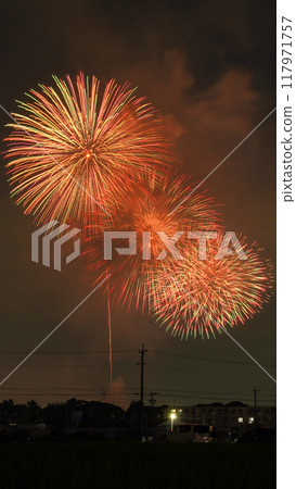 Large fireworks blooming in the summer night sky Large fireworks blooming in the summer night sky 117971757
