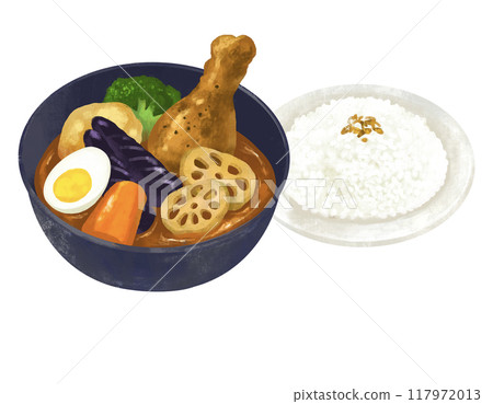 Soup curry curry rice illustration 117972013