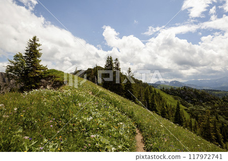 Mountain hiking at Brecherspitze mountain, Bavaria, Germany in summertime Mountain hiking at Brecherspitze mountain, Bavaria, Germany in summertime 117972741