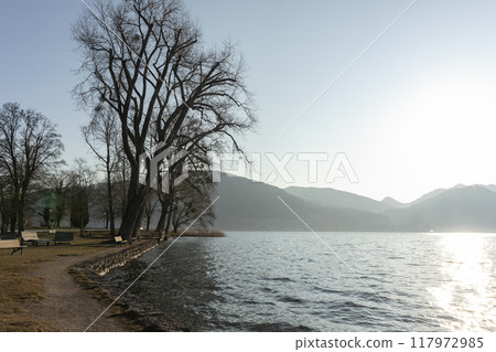 Panorama of lake Tegernsee, Bavaria, Germany 117972985