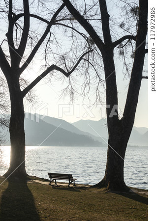 Panorama of lake Tegernsee, Bavaria, Germany 117972986