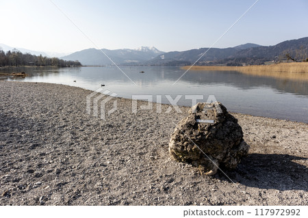Panorama of lake Tegernsee, Bavaria, Germany 117972992