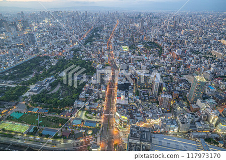 [夜景/夜景]大阪街景、天王寺公園、谷町筋[阿倍野 Harukas 300 展望台] 117973170