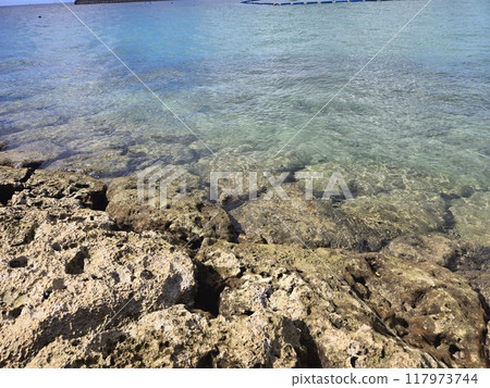 Okinawa Prefecture Ginowan Summer Tropical Beach Okinawa Prefecture Ginowan Summer Tropical Beach 117973744