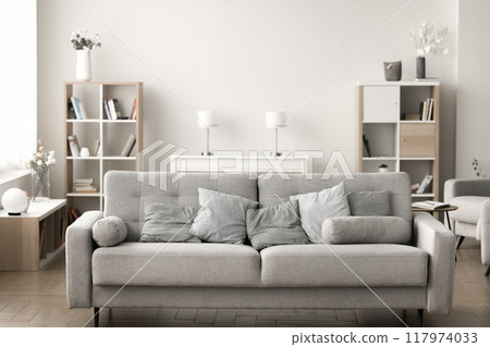 Empty living room with sofa, bookcases and flowers in vases 117974033