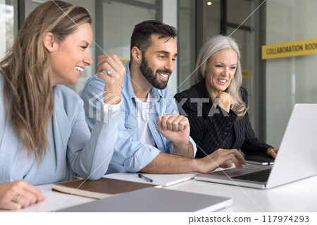 Three business colleagues meeting at laptop, watching software 117974293