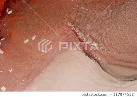 Abstract texture featuring soft earth tones with a touch of red, showcasing organic shapes and patterns on a flat surface Abstract texture featuring soft earth tones with a touch of red, showcasing organic shapes and patterns on a flat surface 117974538