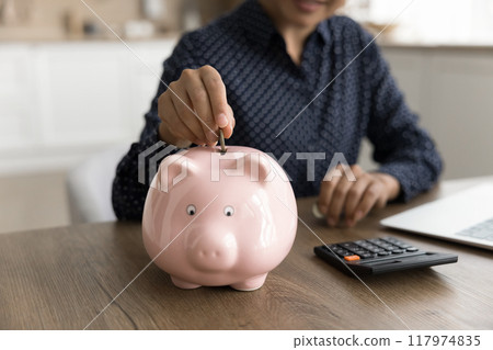 Woman managing personal finances, insert coin into piggybank, close up Woman managing personal finances, insert coin into piggybank, close up 117974835