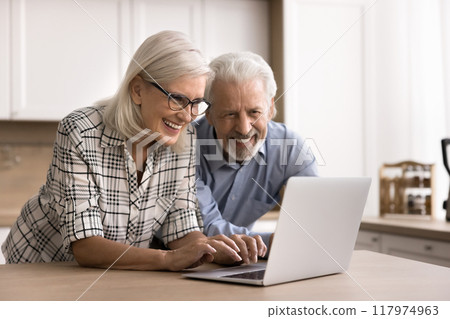 Smiling aged wife and husband spend free time on internet 117974963