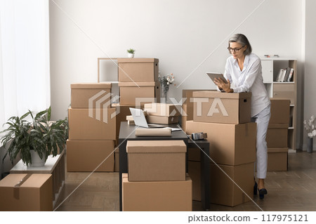 Woman using tablet engaged in managing orders and inventory workflow 117975121