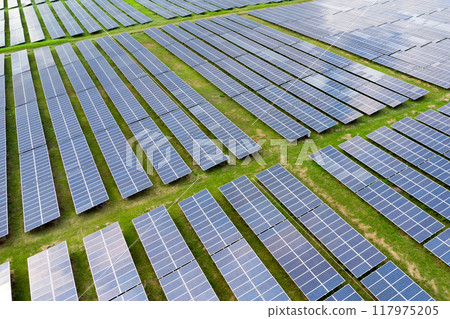 Aerial view of solar panels of a power plant. Energy of sun 117975205