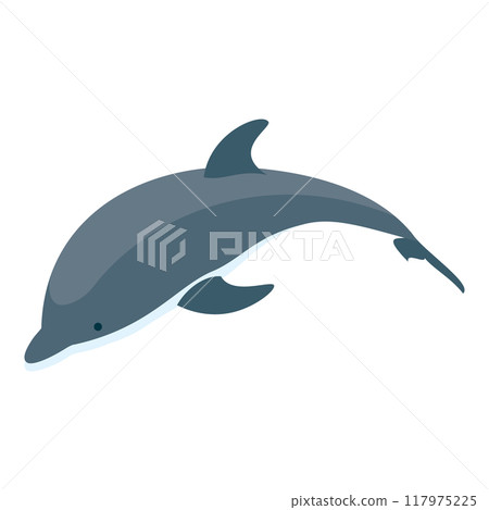 3D Isometric Flat Vector Set of Types Of Dolphins, Educational Classification. Item 8 117975225