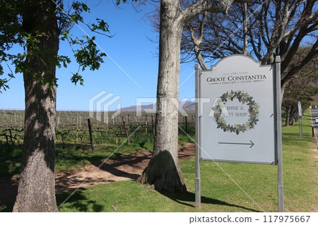 Groote Constantia Winery, Cape Town, South Africa 117975667