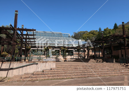 康斯坦博斯, 開普敦, 南非 117975751