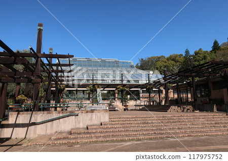 Kirstenbosch, Cape Town, South Africa 117975752