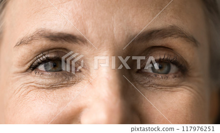 Closeup view, upper face part of older woman eyes Closeup view, upper face part of older woman eyes 117976251