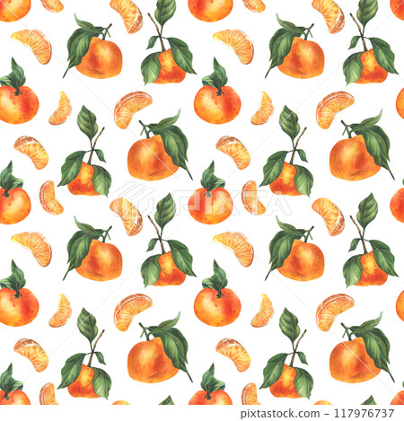Orange tangerines with green branch and leaves, citrus tropical fruit, whole and slices. Watercolor illustration, hand drawn. Seamless pattern on a white background. Orange tangerines with green branch and leaves, citrus tropical fruit, whole and slices. Watercolor illustration, hand drawn. Seamless pattern on a white background. 117976737