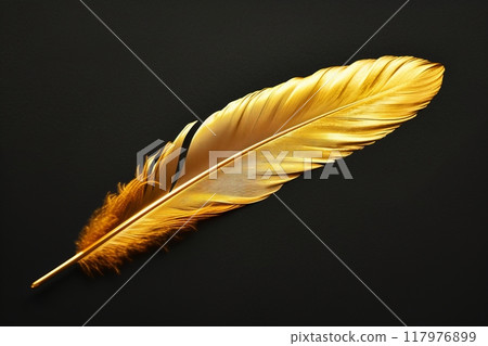 Golden feather on black background, old exquisite golden feather 117976899