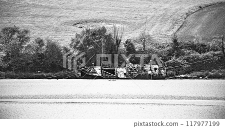 Wooden boat, with masts and ropes, are grounded on a sandy shore. The boat are weathered and in disrepair. There is plowed land in the background. 117977199