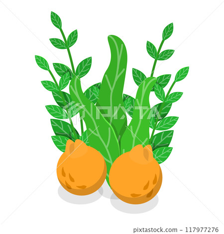 3D Isometric Flat Vector Set of Jeju, South Korean Island. Item 3 117977276