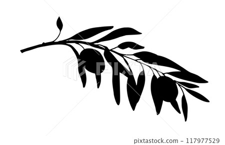 Olive Branch Silhouette isolated on white background. Hand drawn Vector Graphic illustration. Can be used for cards, logos and labels design 117977529