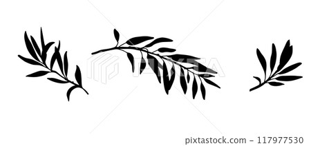Silhouettes of Olive Branches isolated on white background. Hand drawn Vector Botanical illustration. Can be used for cards, logos and packaging design 117977530