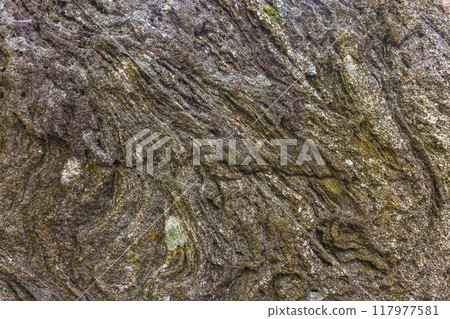 Exploring Abstract Natural Patterns Found on Stone Surfaces in Various Environments 117977581