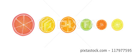 Citrus fruits set. Lemon, lime, citron, orange, mandarin and grapefruit slice pieces isolated over white background.  Vector colorful illustration in realistic style 117977595
