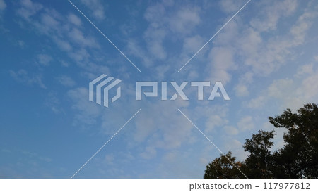 日落時，羊雲漂浮在秋天的天空中 117977812