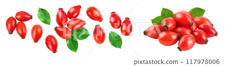 Rose hip isolated on a white background with full depth of field. Top view. Flat lay. 117978006