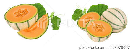 Cantaloupe melon isolated on white background with full depth of field, 117978007
