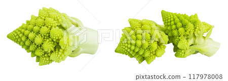 Romanesco broccoli cabbage or Roman Cauliflower isolated on white background with  full depth of field 117978008
