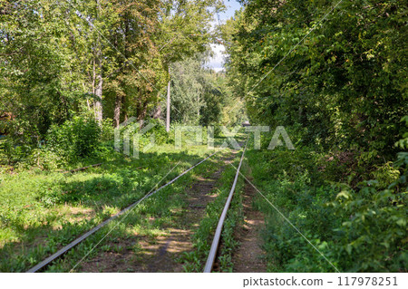 Long empty tram tracks running through the forest. 117978251