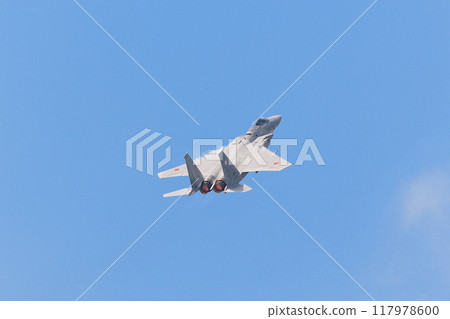 Soaring Air Self-Defense Force 305th Squadron F-15J Eagle 117978600