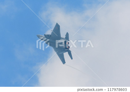 Air Self-Defense Force 305th Squadron F-15J Eagle rolling 117978603