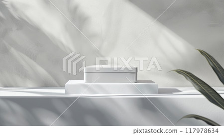 A minimalist white box rests on a pedestal A minimalist white box rests on a pedestal 117978634
