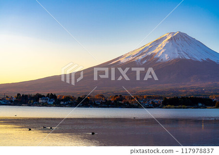[富士山資料]冬天的早晨從河口湖看到的富士山[山梨縣] 117978837