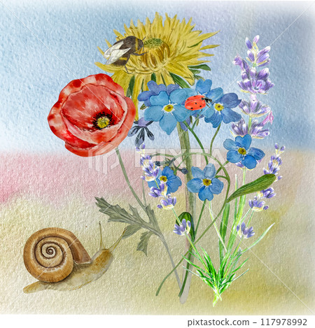 Watercollor scene of a snai with ladybug, bumblebee and wild flowers, nature watercolor background Watercollor scene of a snai with ladybug, bumblebee and wild flowers, nature watercolor background 117978992