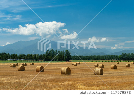 十勝平原、日高山脈和夏季的麥稈卷 117979878