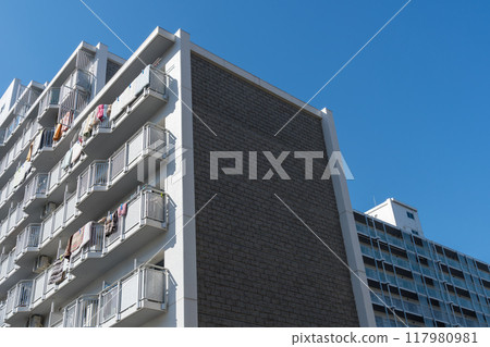 在藍天的豪宅 117980981