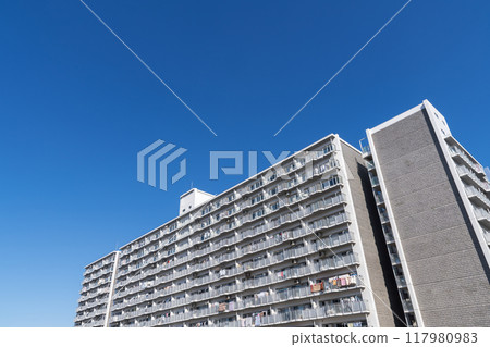 在藍天的豪宅 117980983