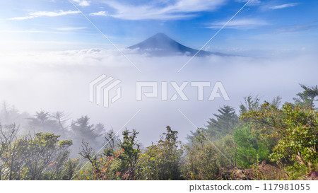 Mount Fuji floating above a sea of clouds (from Mt. Odake, Yamanashi Prefecture) 117981055