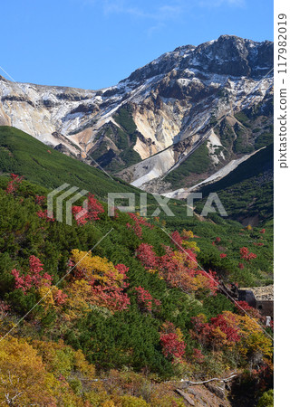 Colorful autumn alpine scenery on a sunny day: Tokachi mountain range Colorful autumn alpine scenery on a sunny day: Tokachi mountain range 117982019