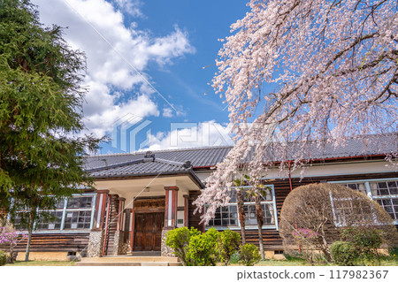 Weeping cherry blossoms in full bloom at Kinbara School in Iida City, Nagano Prefecture Weeping cherry blossoms in full bloom at Kinbara School in Iida City, Nagano Prefecture 117982367