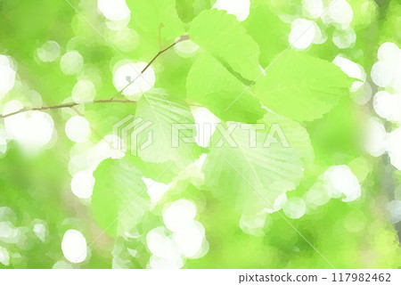 Eco image leaves Eco image leaves 117982462