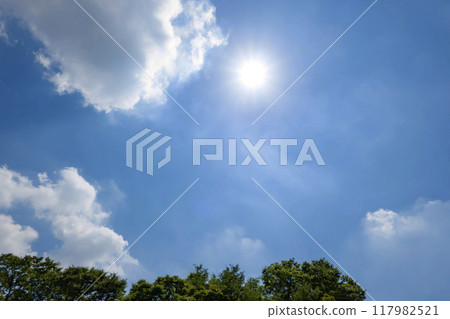 夏天的雲、樹木和陽光 117982521