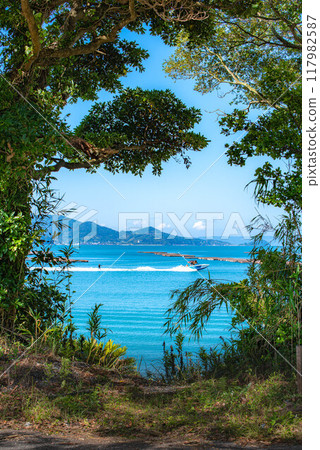 從樹蔭下眺望蔚藍的大海 117982587