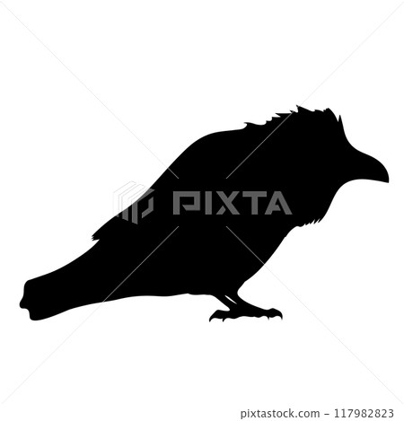 Bird Raven Crow Black Silhouette for Icon. Bird Raven Crow Black Silhouette for Icon. 117982823
