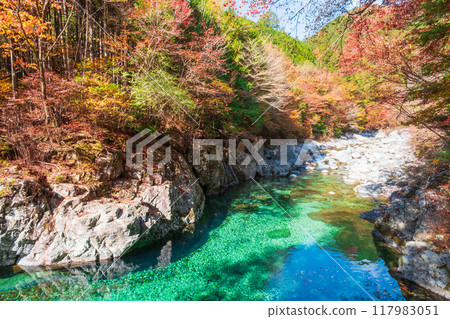 The Agana valley in autumn 117983051