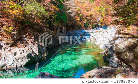 阿加尼亞山谷在秋天 阿加尼亞山谷在秋天 117983070